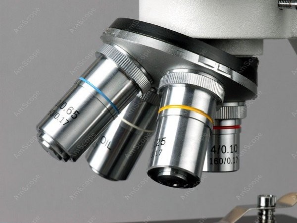 Mikroskop Biologi Binokuler Se - Amscope Microscope Compound 40X-1000X ulasan dan harga